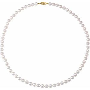 14K Yellow Cultured White Akoya Pearl 18 Necklace